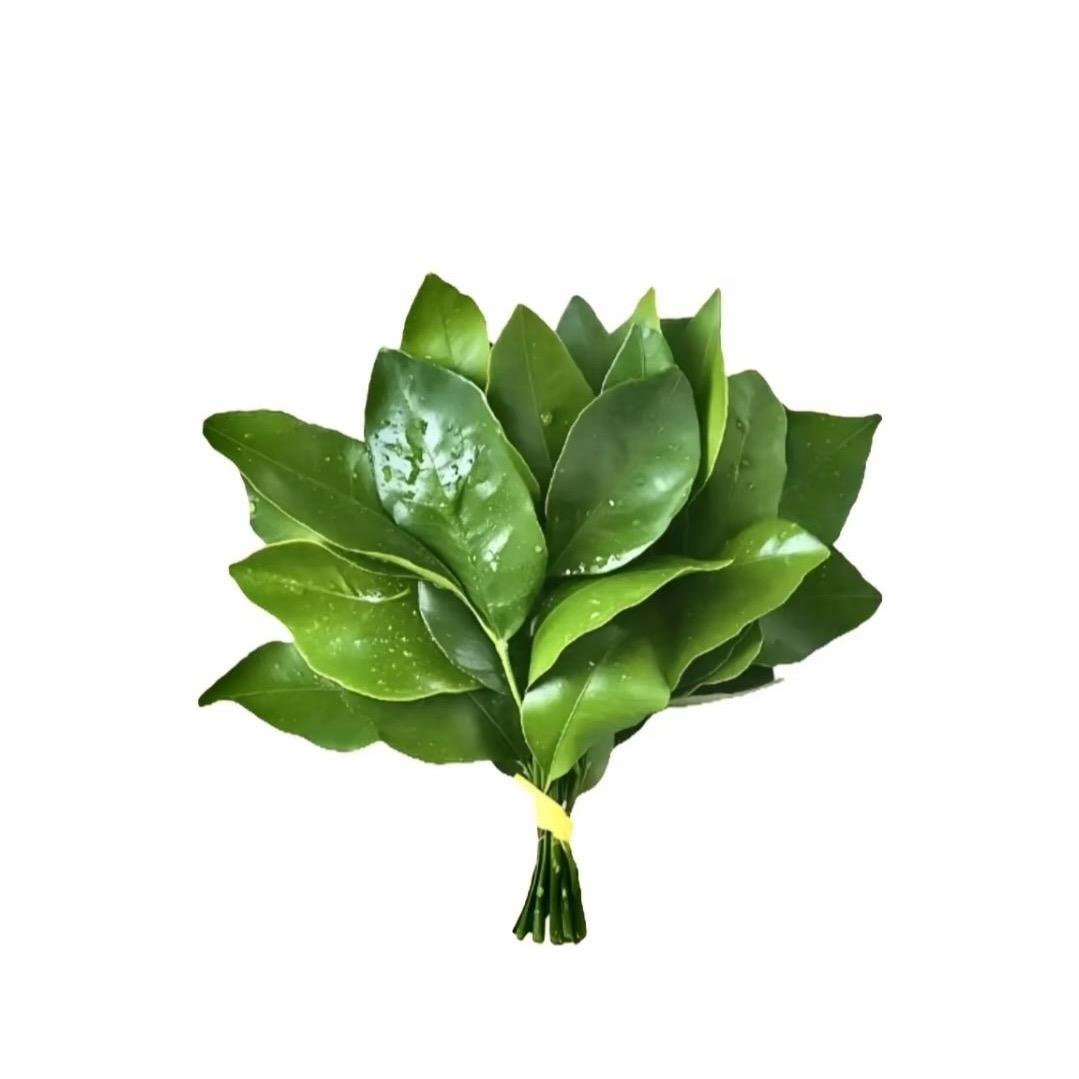 三月.