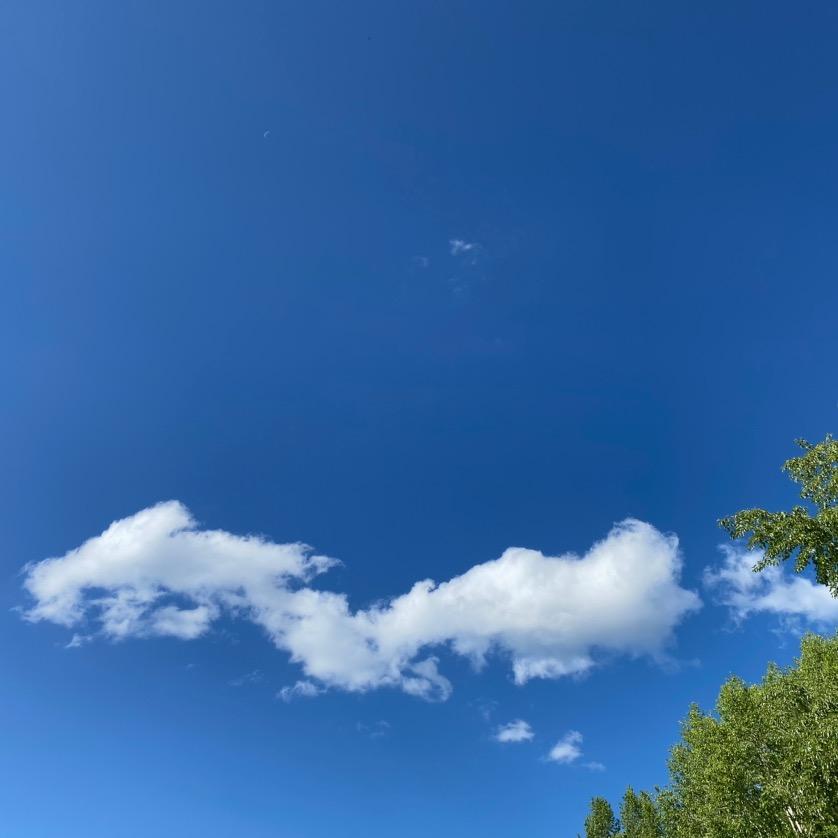 张家纯驴肉--小曼