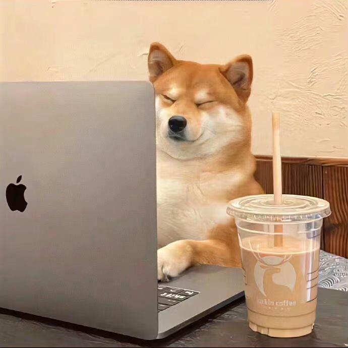 我的小狗叫旺仔