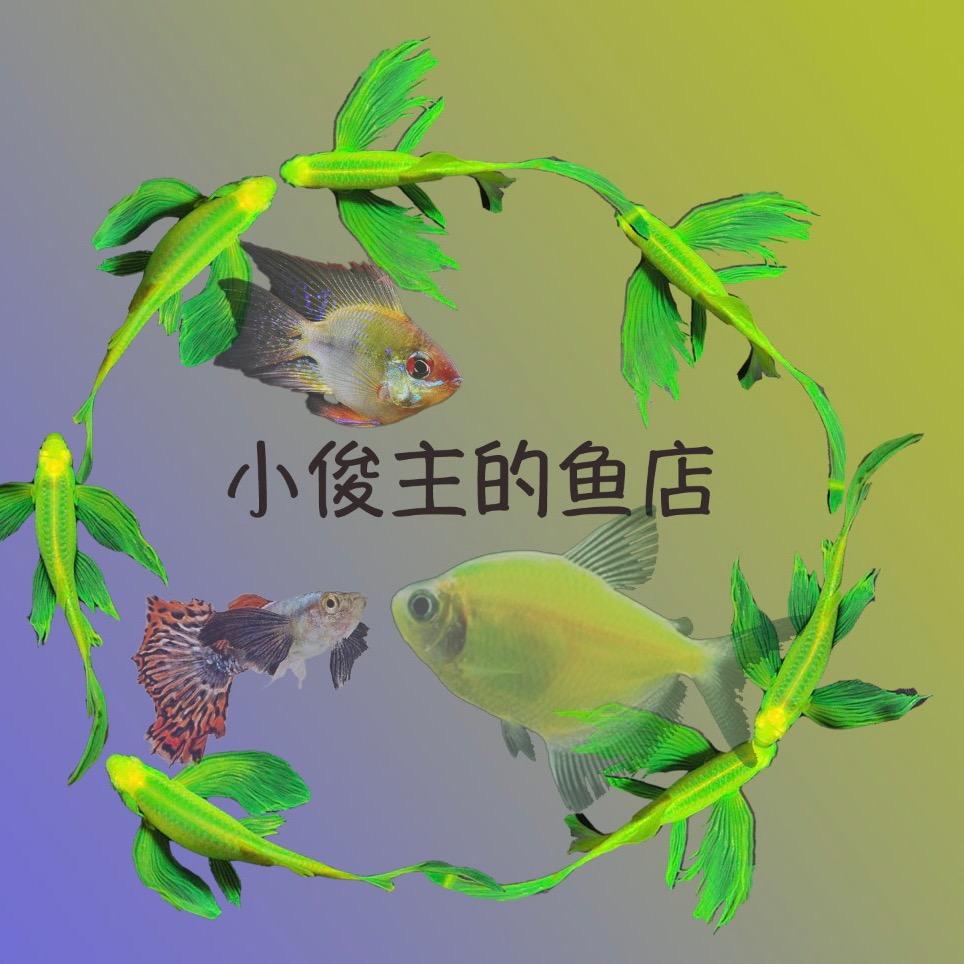 小俊主观赏鱼养殖场