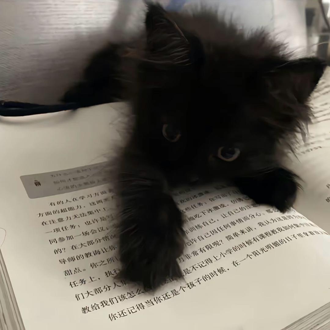 你说123