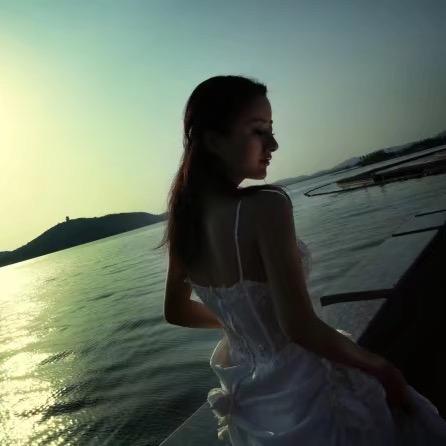 柳絮飞扬