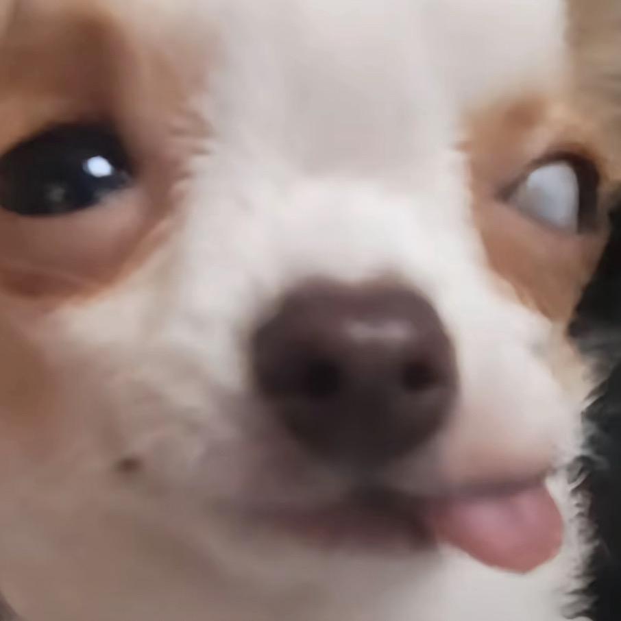 滚