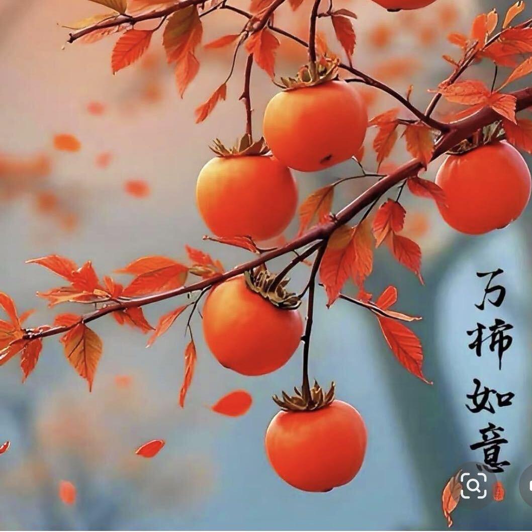 缘来是你
