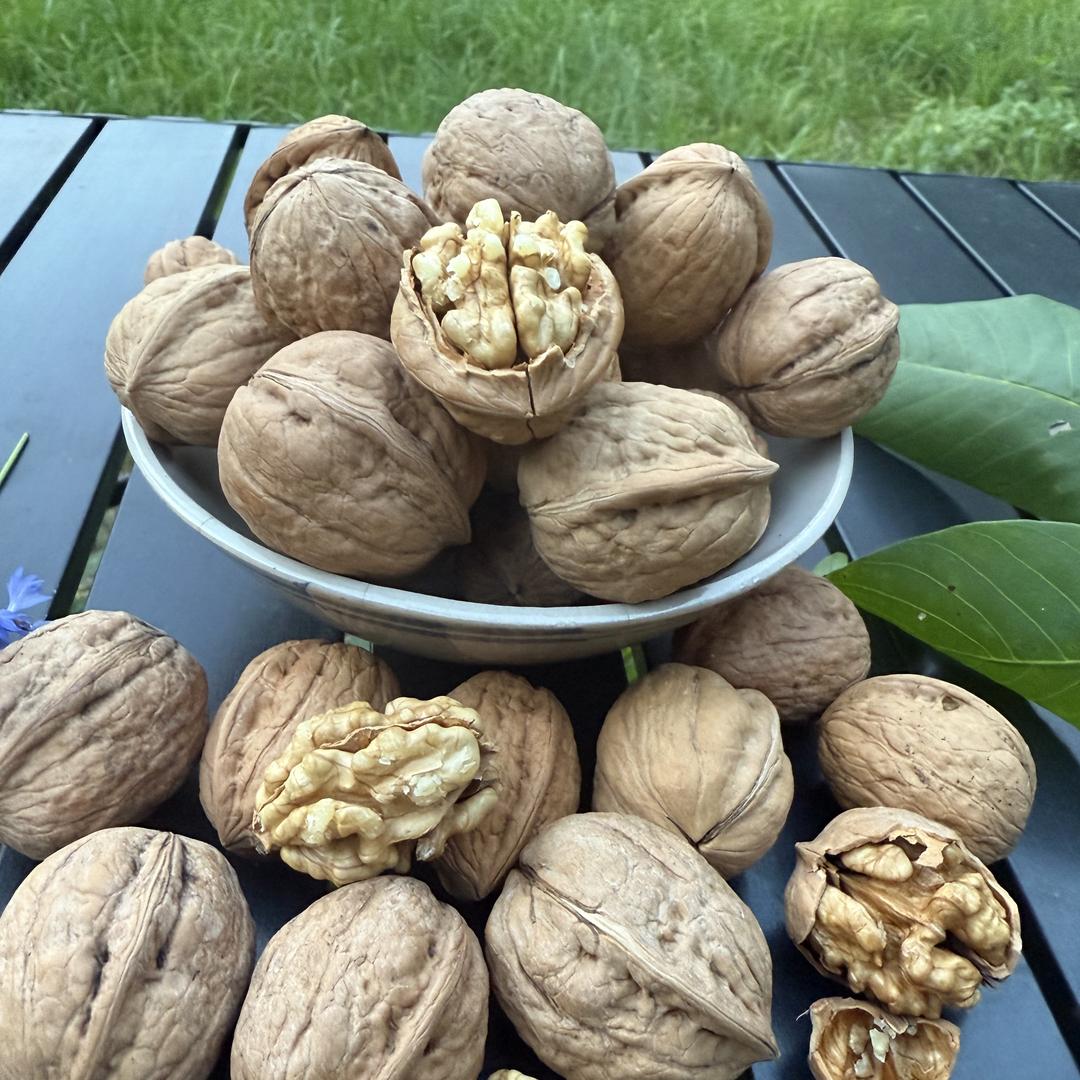 小七精选农副品