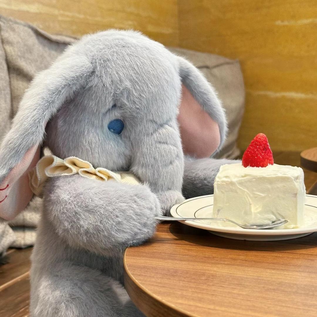 精神正常陈女士