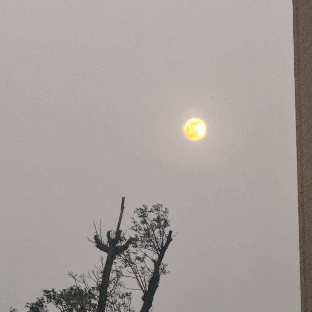 @꧔ꦿ᭄面包吃货🥰