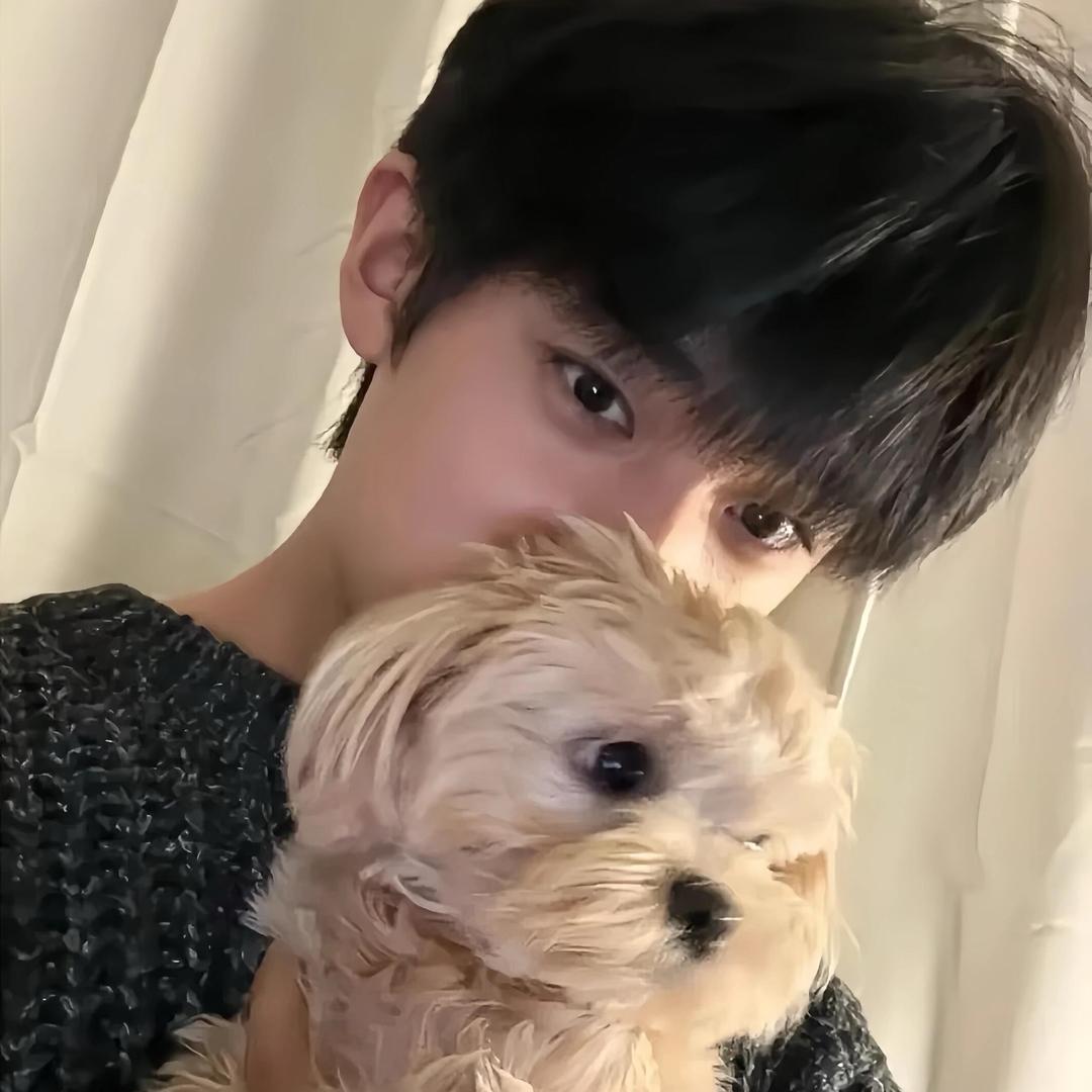 草稿箱