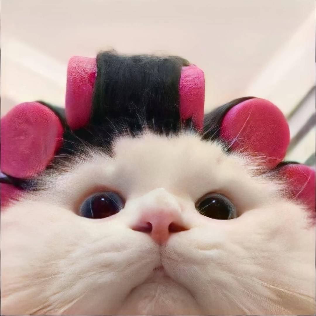 吃葡萄不吐皮.