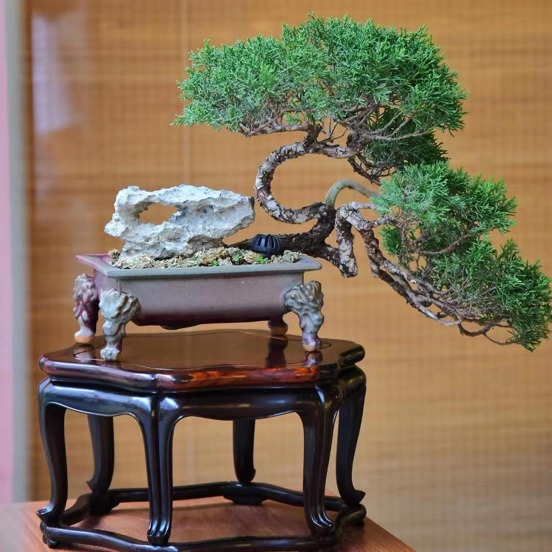 旭哥