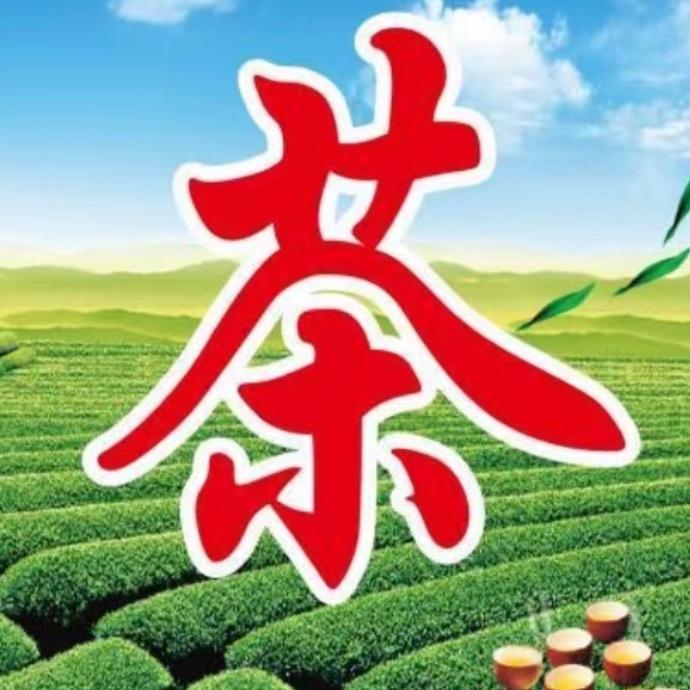 茶姐茶妹信阳毛尖