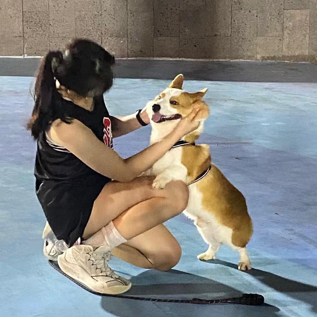 一只尤