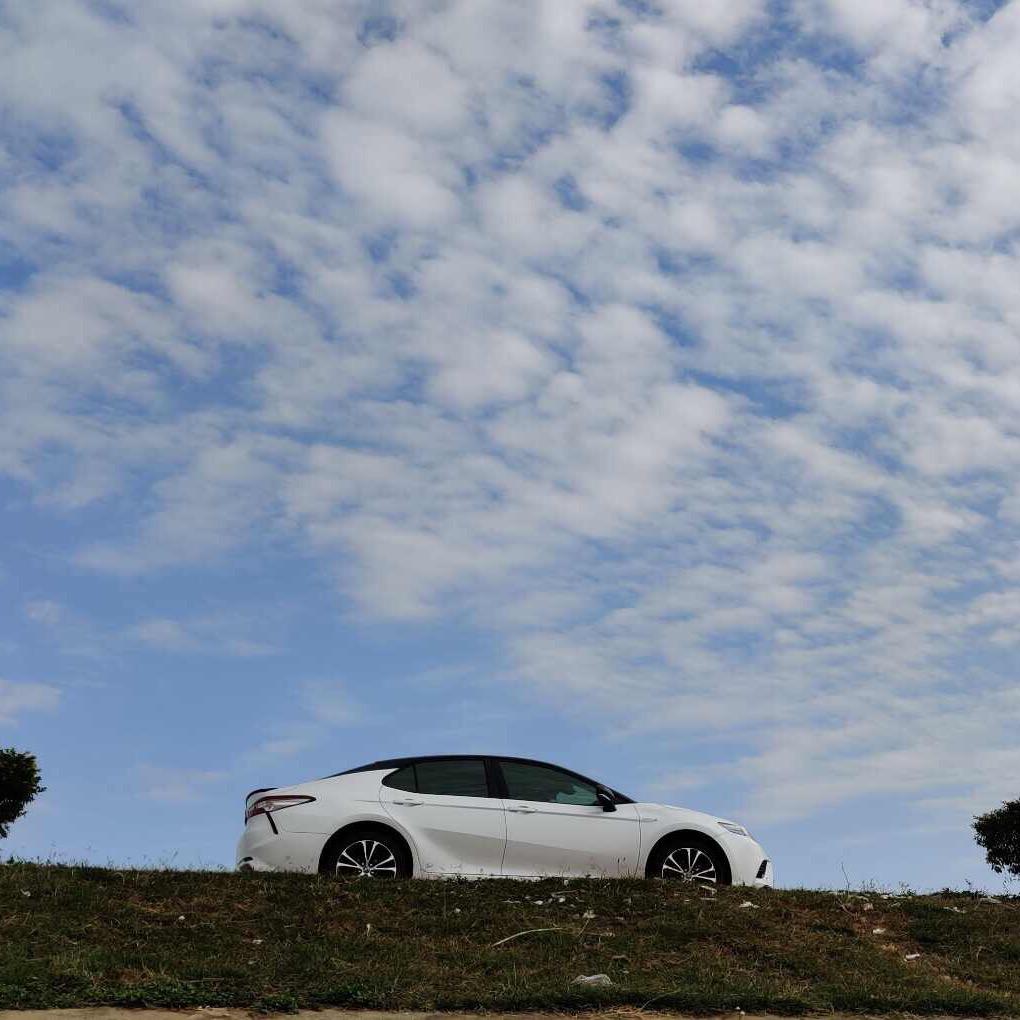 番茄炒西红柿🍅