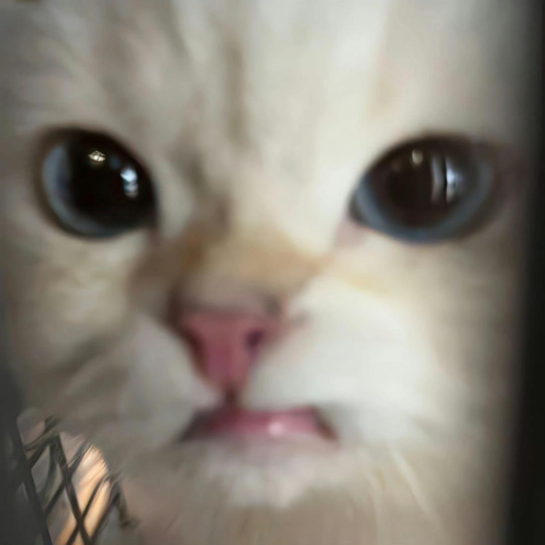 淡