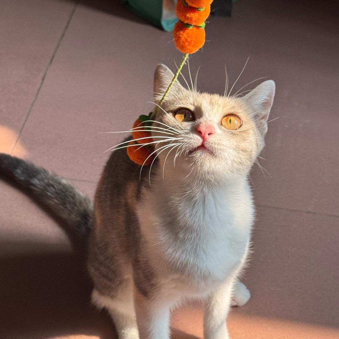 不撞南墙不回头