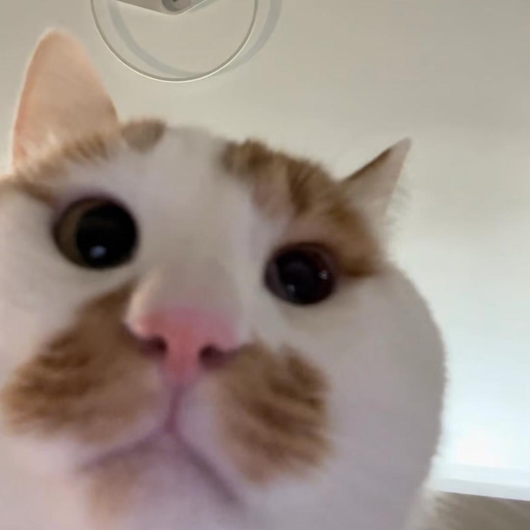 东阳