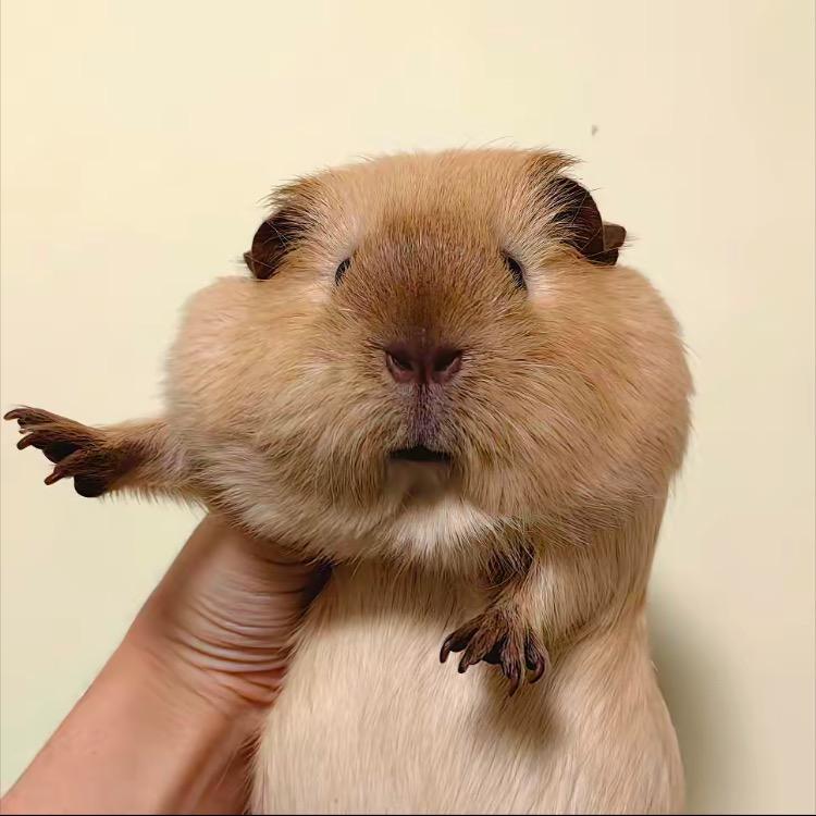韵香优选百货
