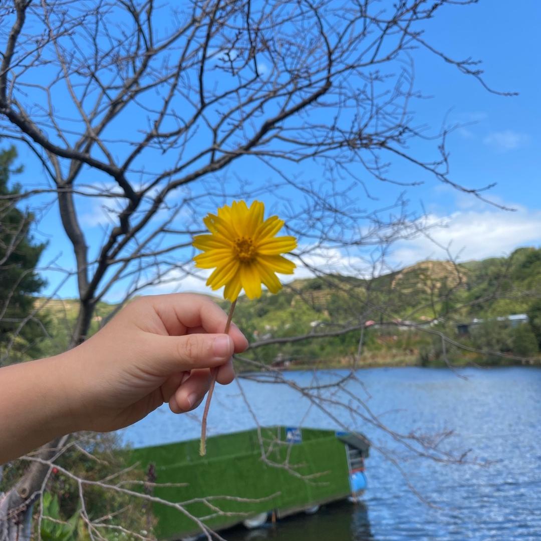 龙山公寓官方号