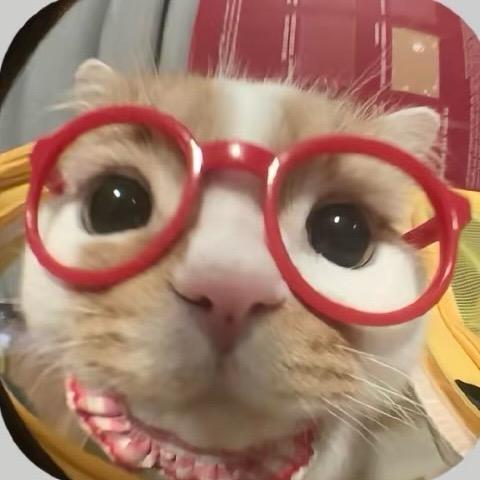 不爱和人说话