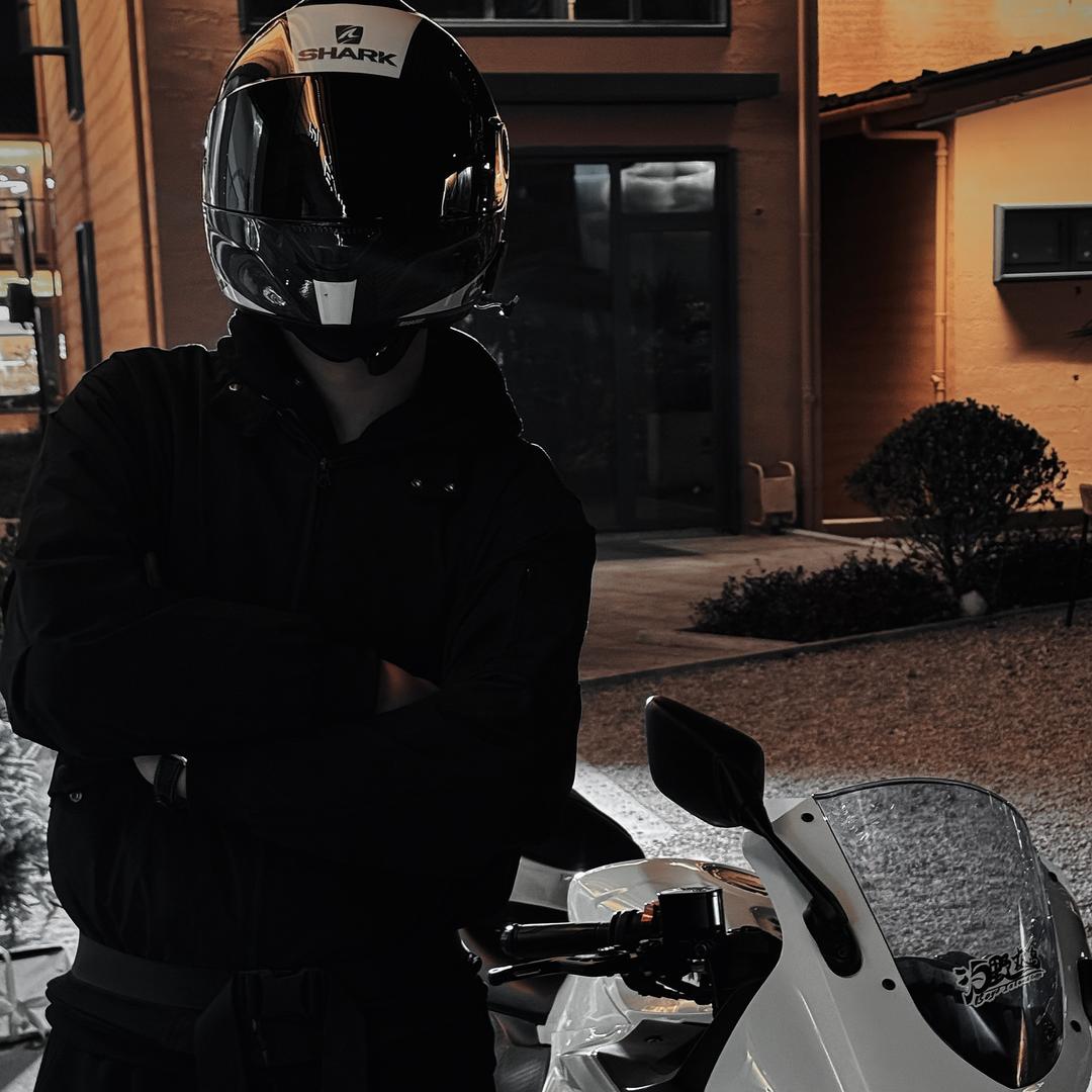 小蚂蚁的黑白色