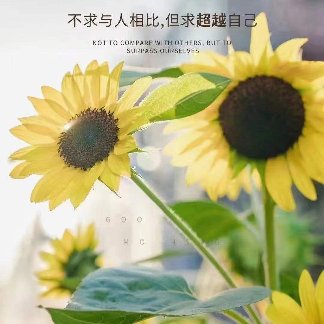 开心😁
