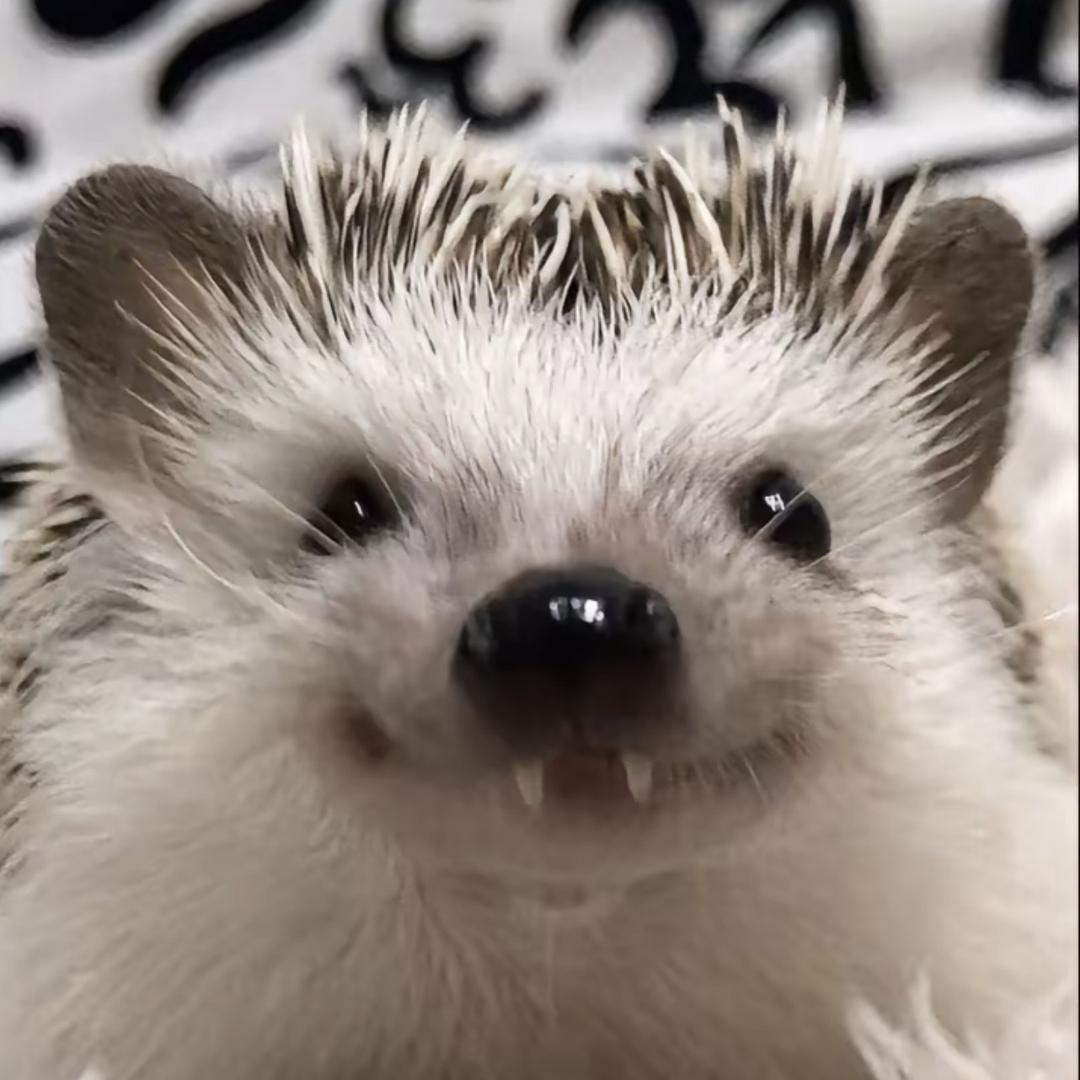 卡了
