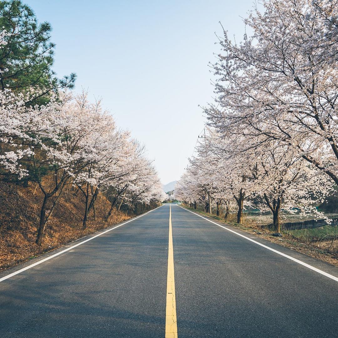 乌鲁木齐鑫领先教育培训中心