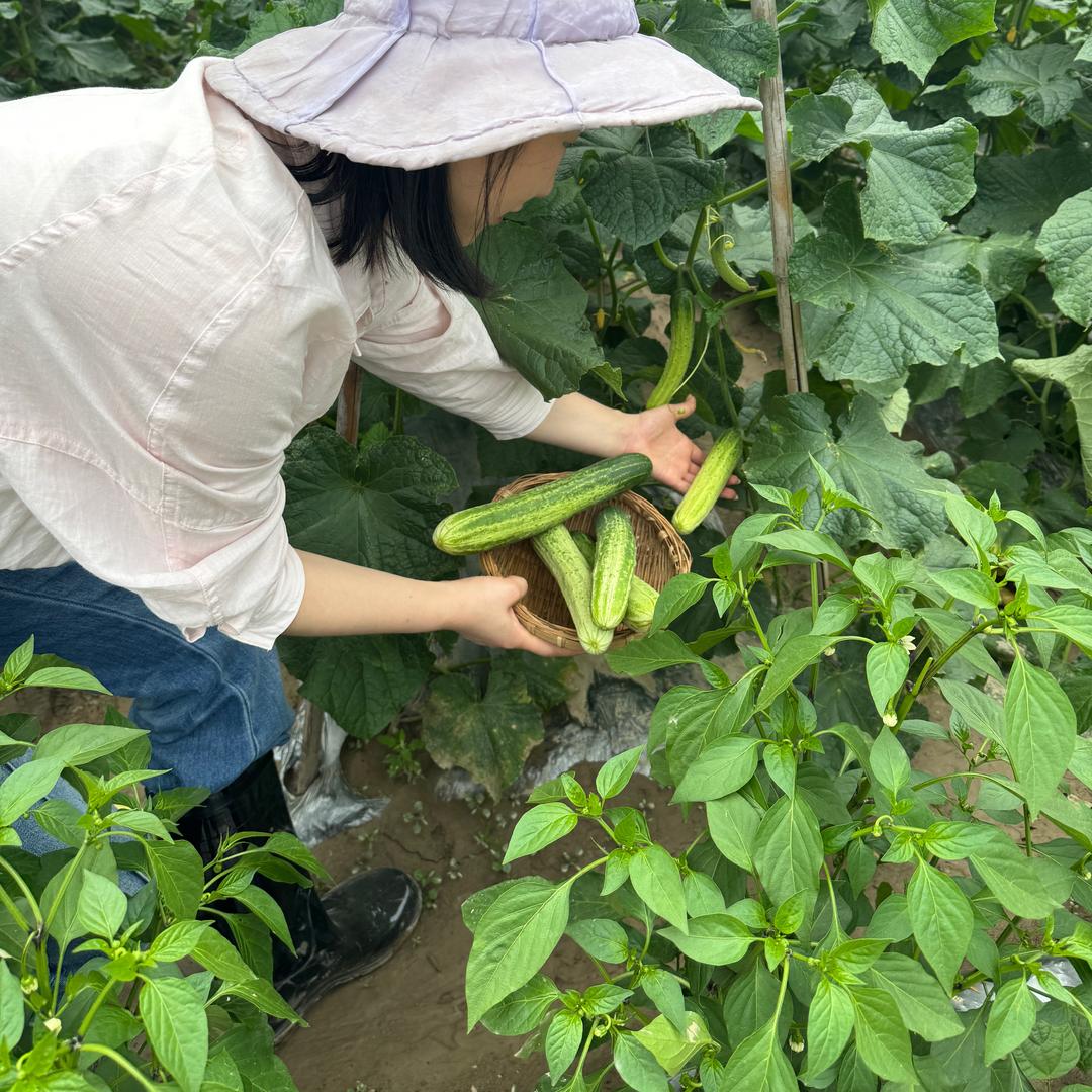 小锐