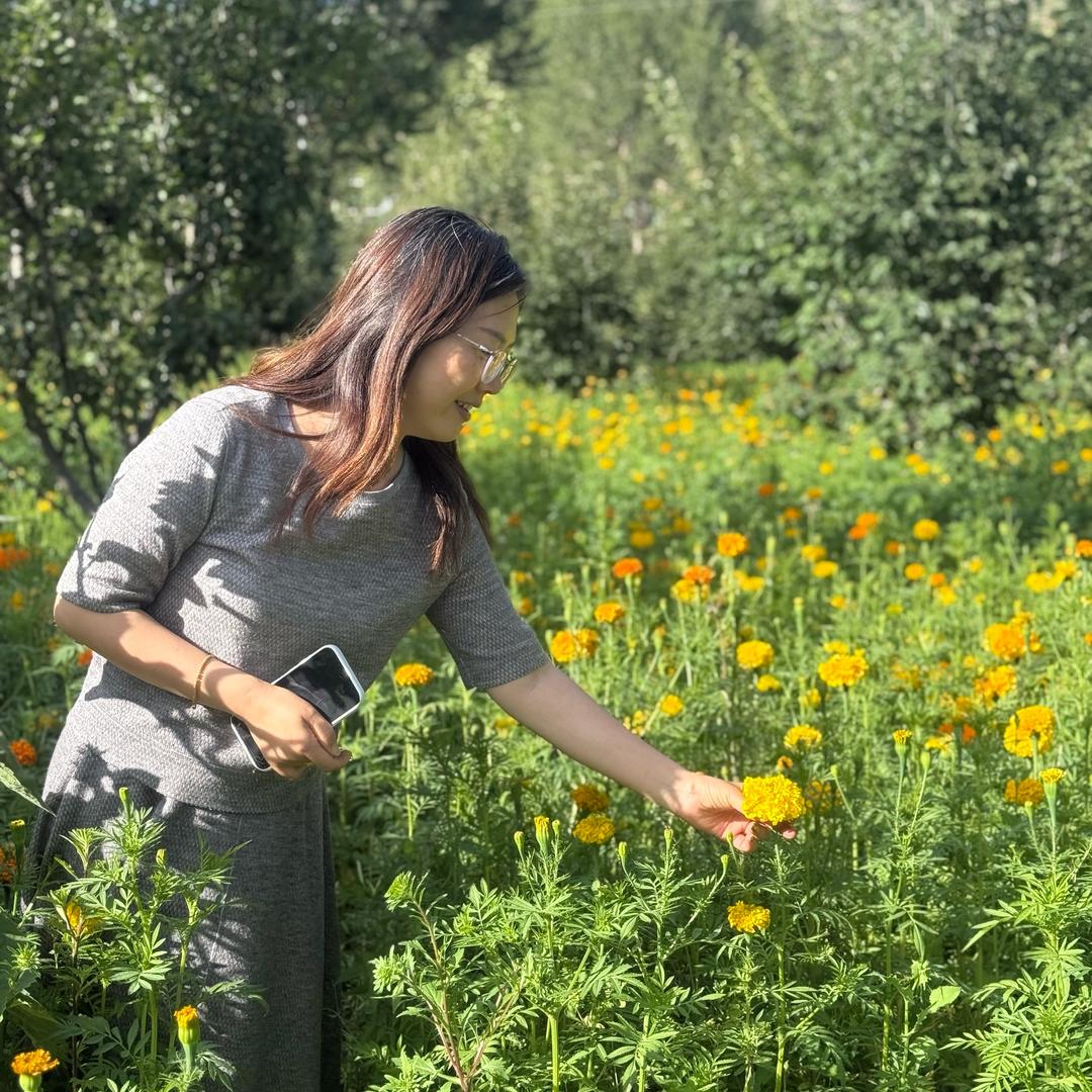 鲁总的乡村生活