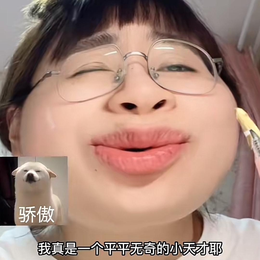 猪八蛋（等待回家版）