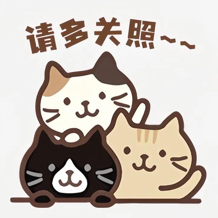 快乐每一天