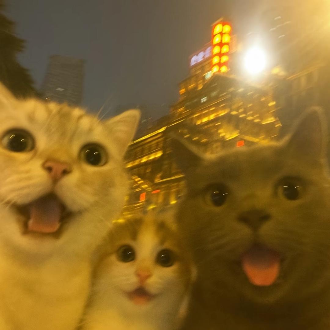 小陶日记📔