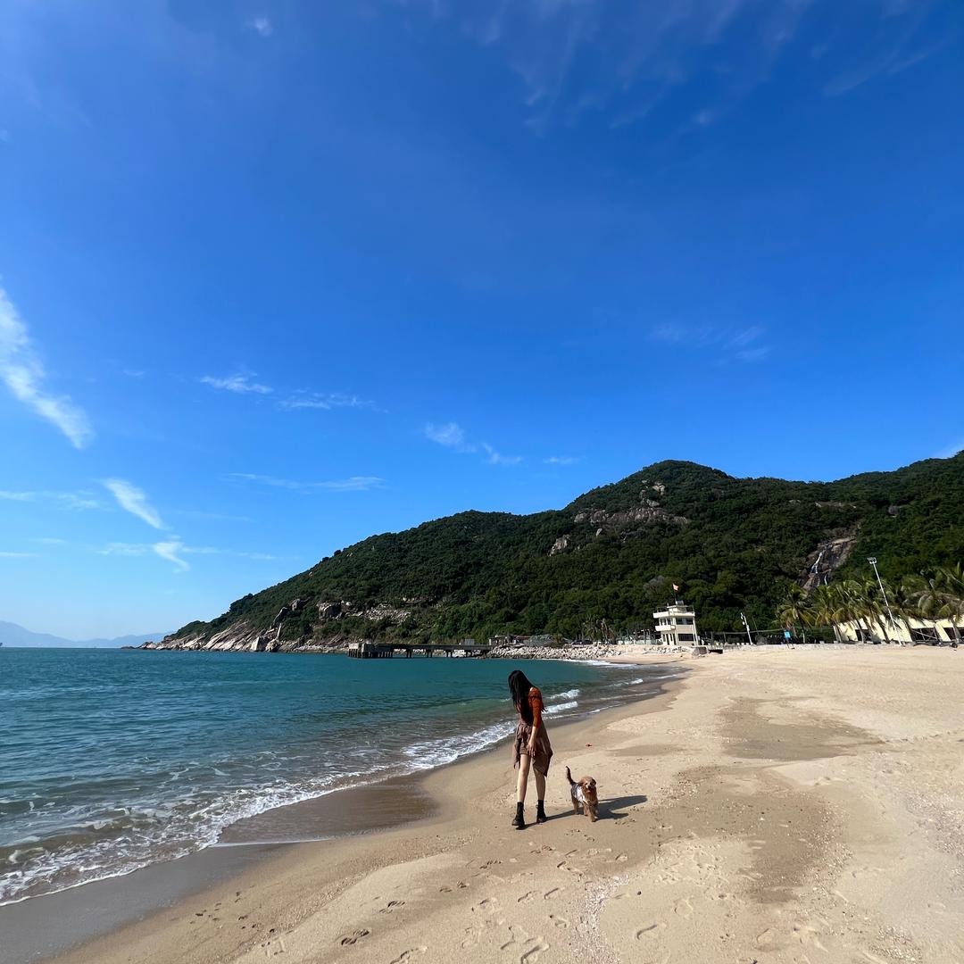 来了也不是深圳人