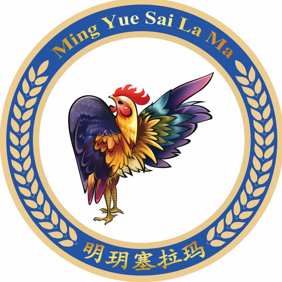 明玥爱养鸡