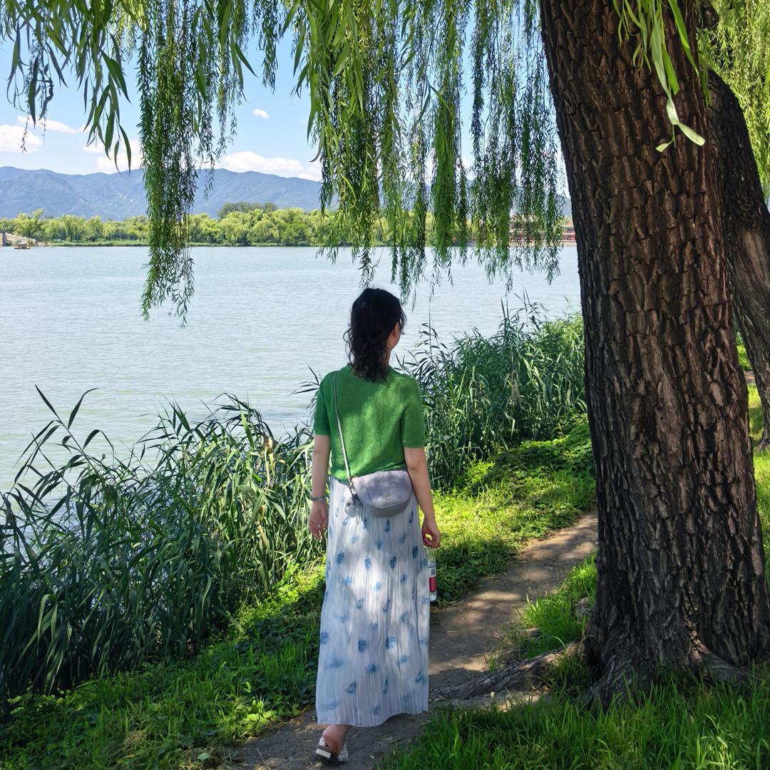如水年华