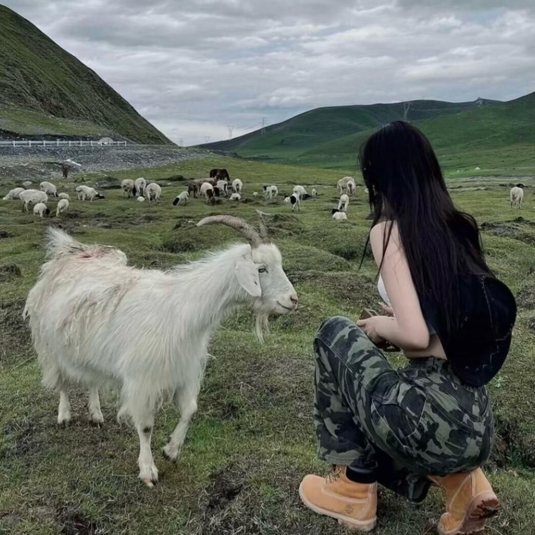 潇沐