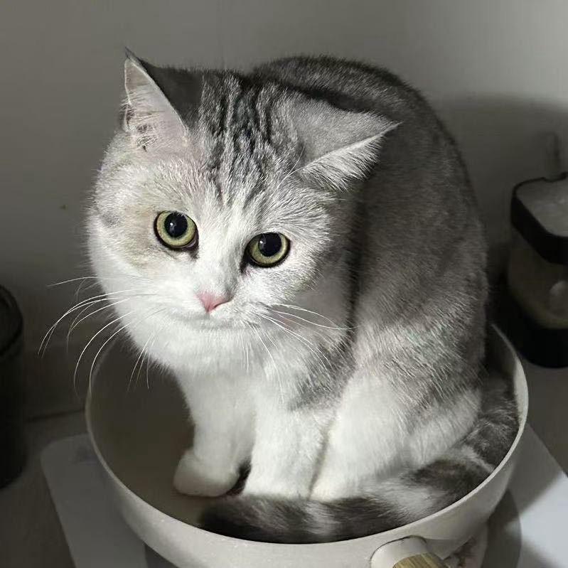 uuu（lol太好玩了