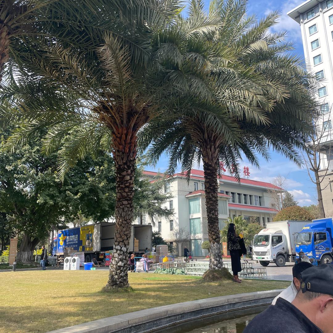 胖哥的幸福😁