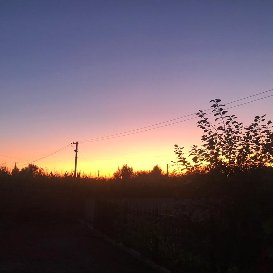 妈妈我想吃烤山药