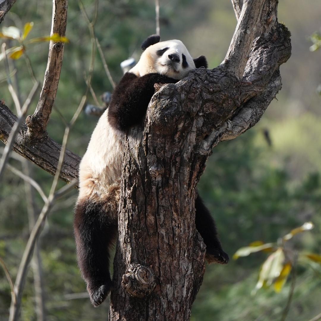 是十壹不是十一