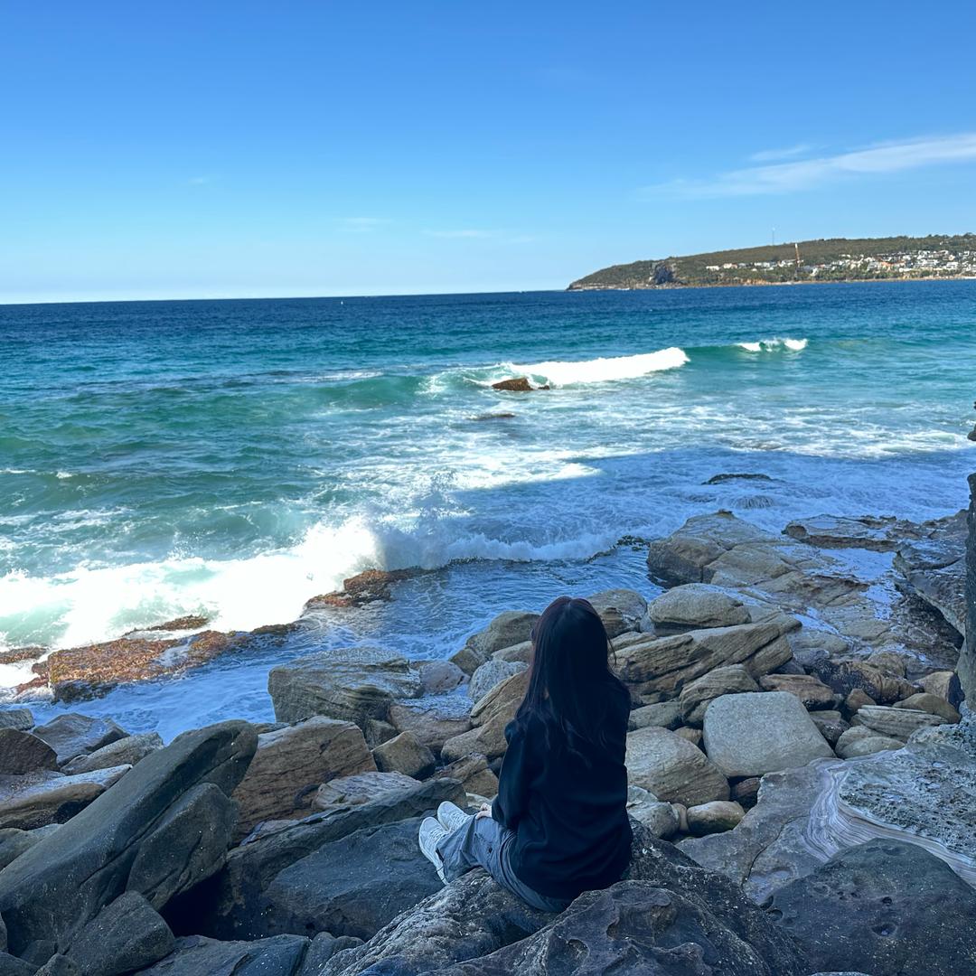 小圆菊的零食柜