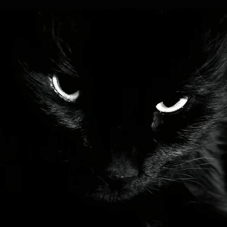 为美女捅兄弟两刀