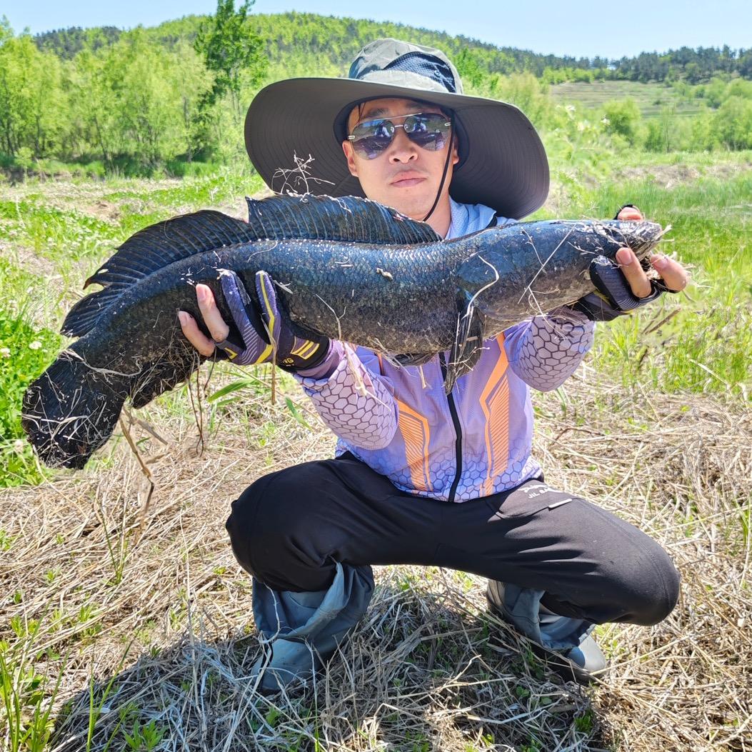 玩路亚的小泰迪