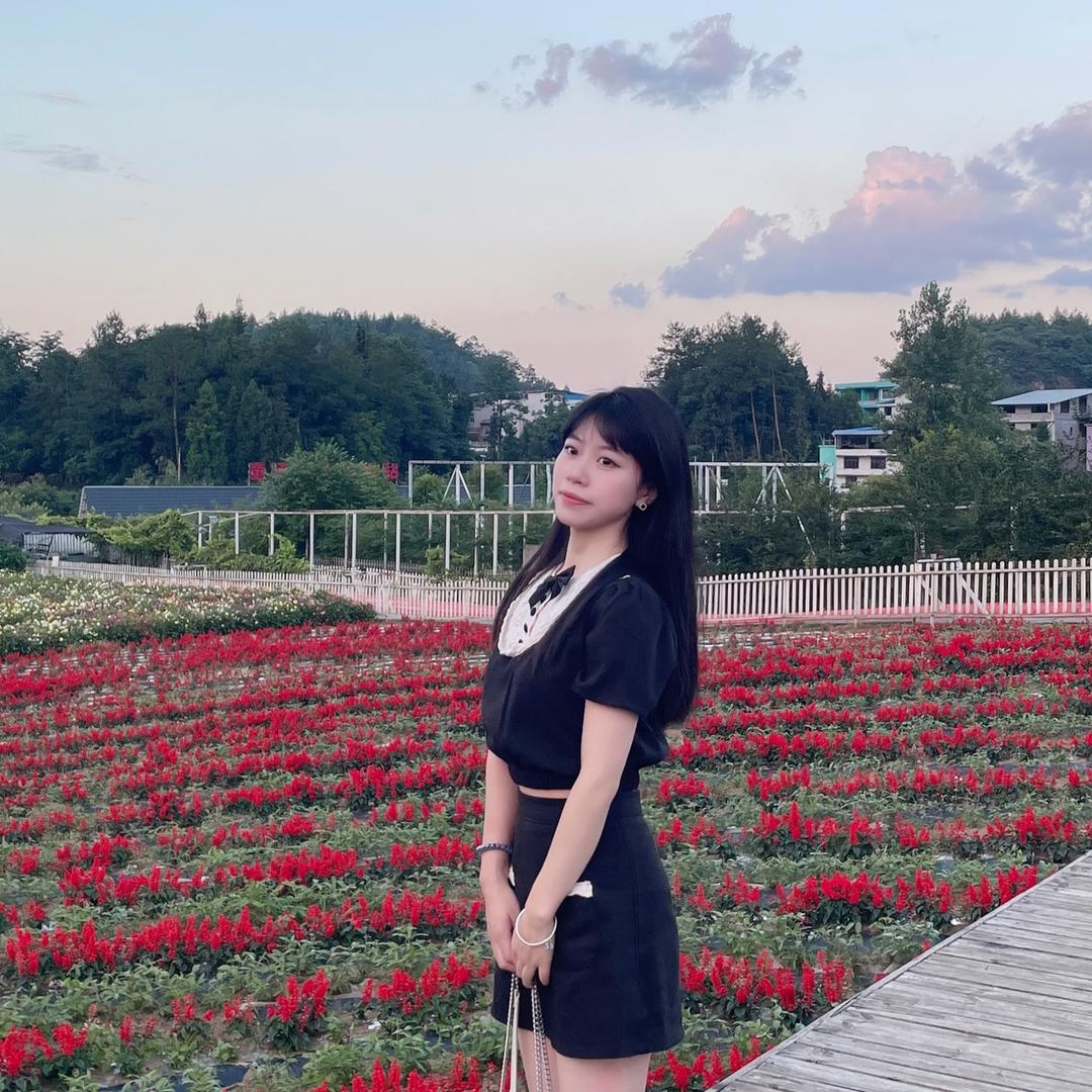 松子不卖菜