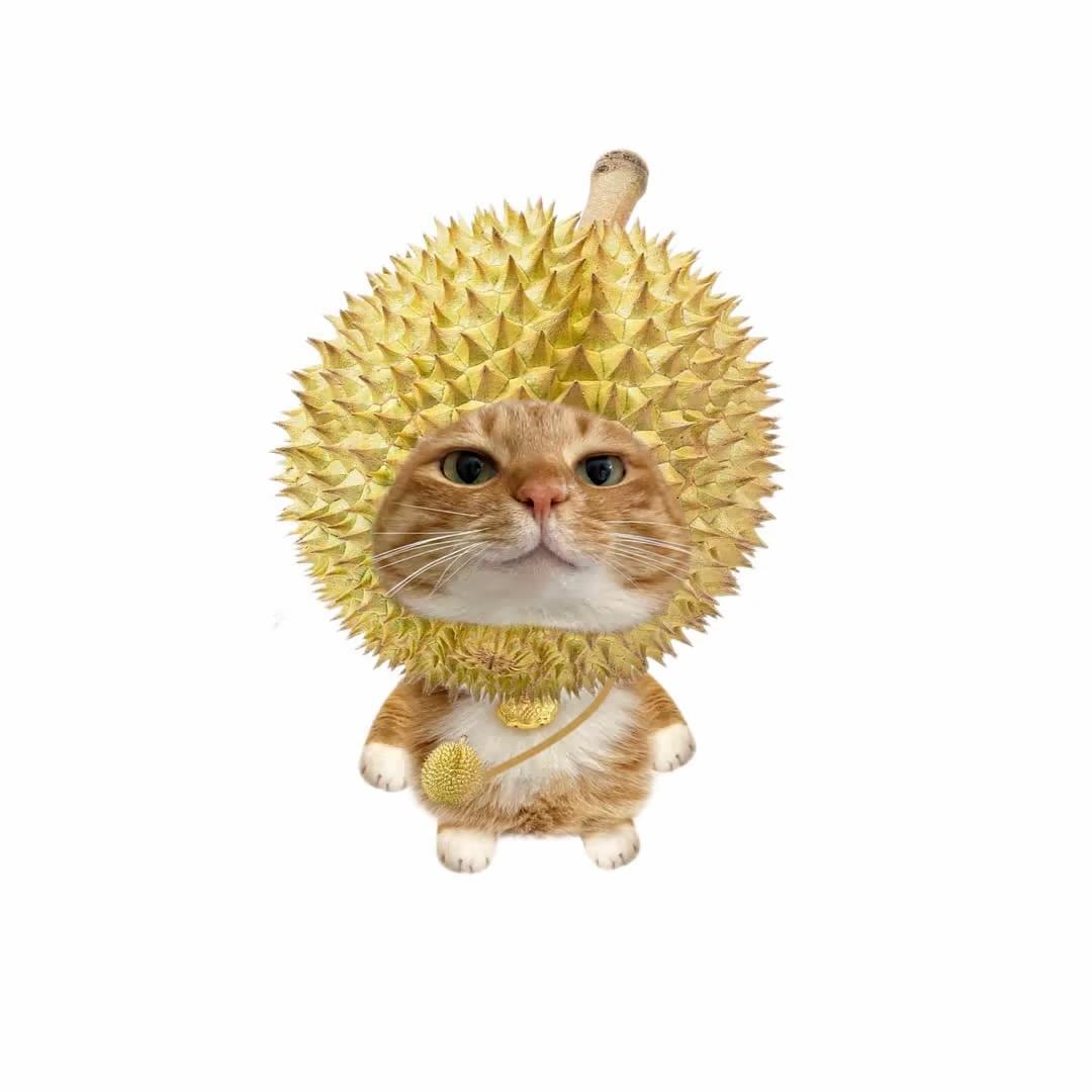 榴莲公主
