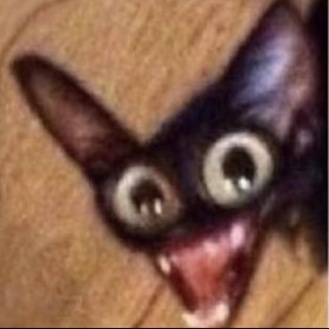 A.Y