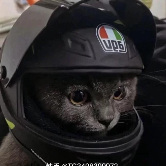 阿诺的新家（新家安选信息咨询部）