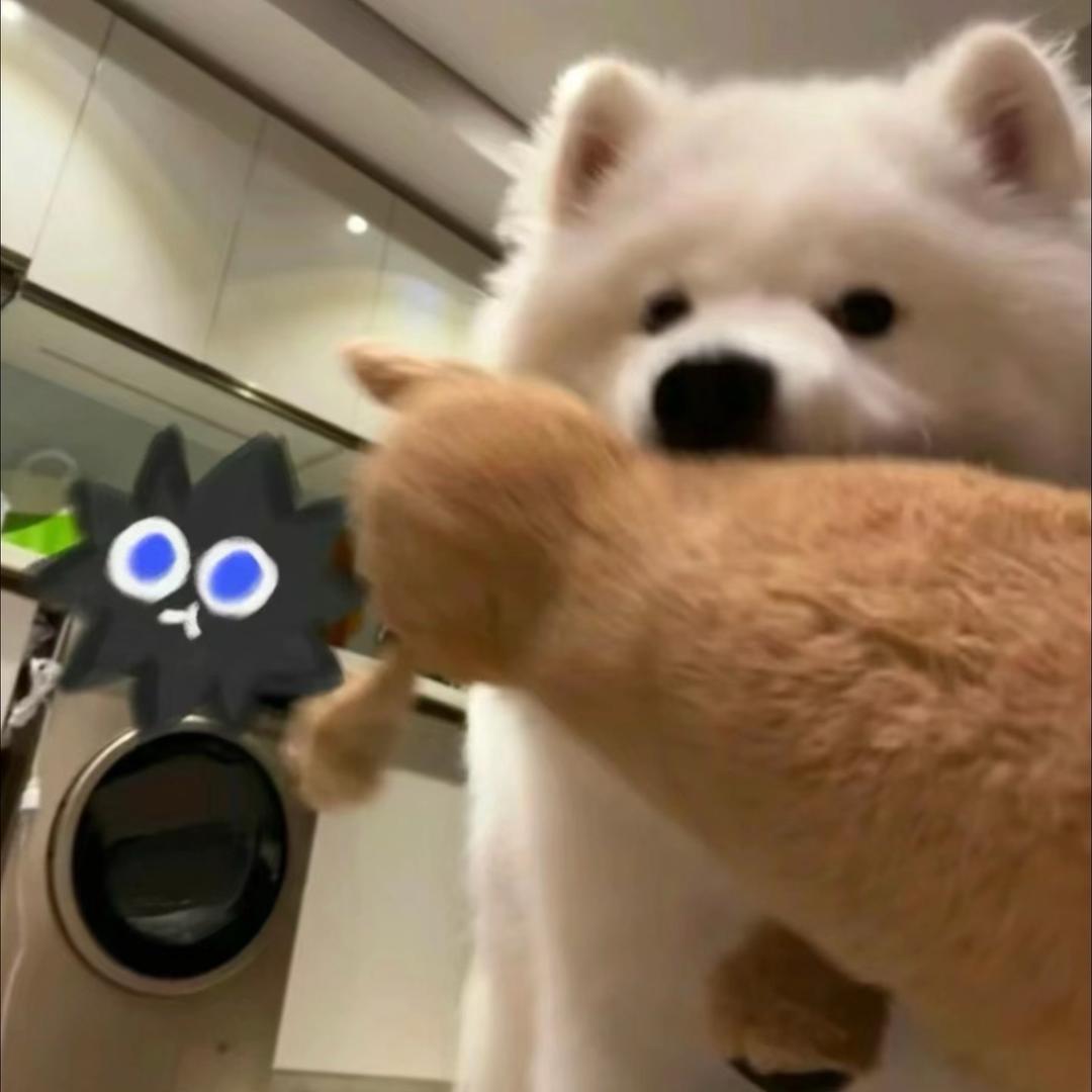 大晚上别逼我删你