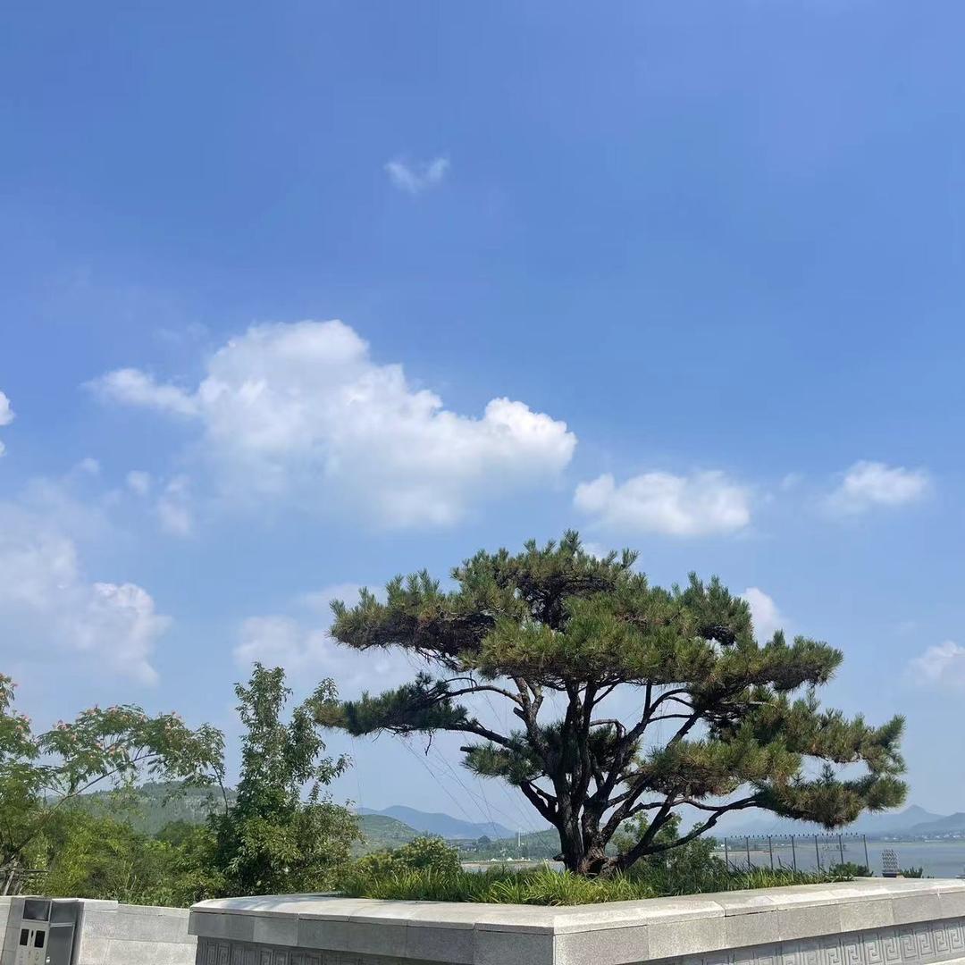 家有三宝
