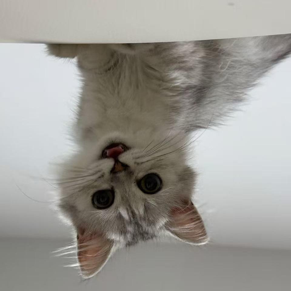 人生短短急个球⁺⁶⁶⁶